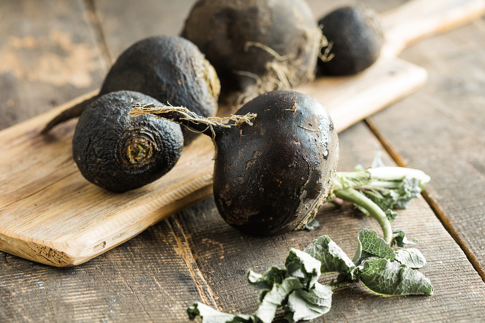 Schwarze Maca-Wurzel aus den peruanischen Anden